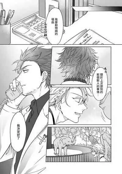 Fukurou no Koiwazurai | 猫头鹰的相思病