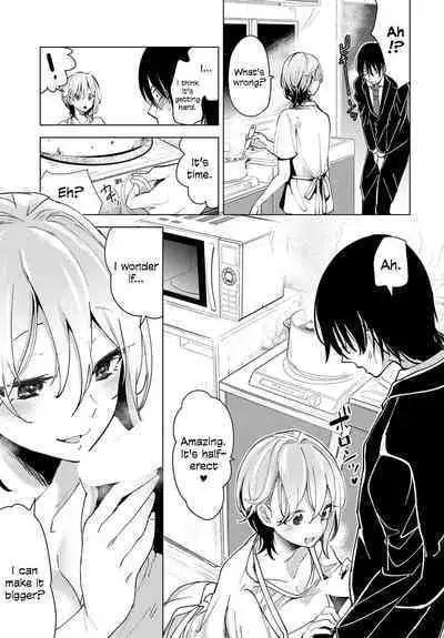 Tsuru no Ongaeshi | Crane's Return of a Favor