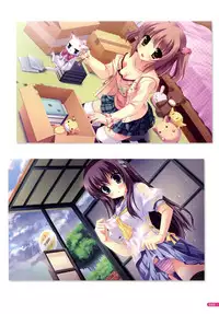 [Yukie] MOEOH Selection Flower Flower Yukie Gashuu