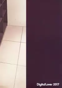 (SC2017 Winter) [Digital Lover (Nakajima Yuka)] DLO-01 Kare to no Yakusoku [Chinese] [绅士仓库汉化]