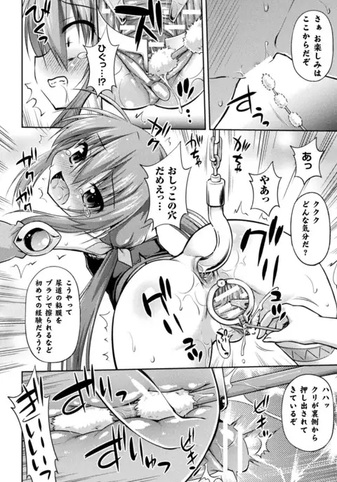 堕ち果てる魔法剣士