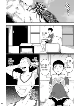 Touchuukasou | 동충화초 series
