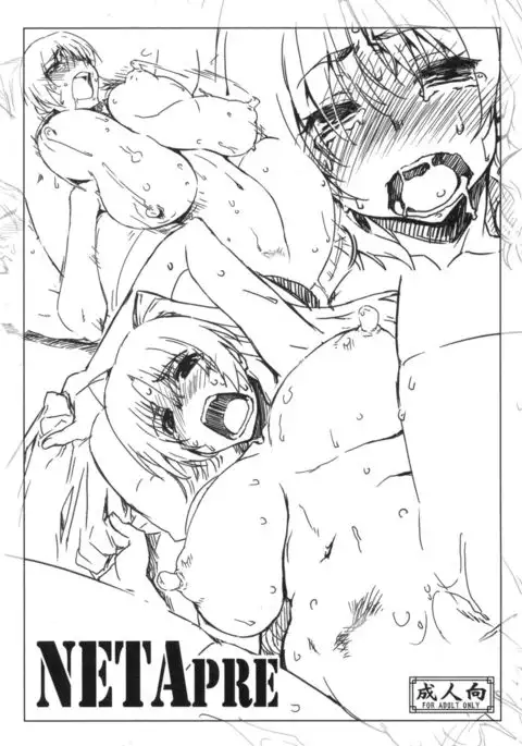 NETAPRE+コピー誌