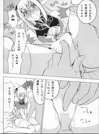(COMIC1☆6) [Donzoko Kashiwa Meshi (Mask the J)] Altina Weapon (Shining Blade)