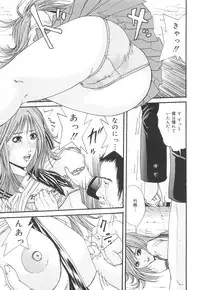 [Edogawa Pureko] Kagyaku Teikoku | Brutality Empire