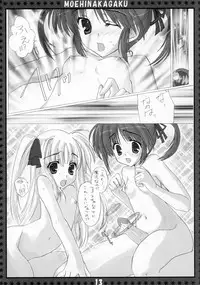 (SC34) [Moehina Kagaku (Hinamatsuri Touko)] St. Lily's Day (Mahou Shoujo Lyrical Nanoha)