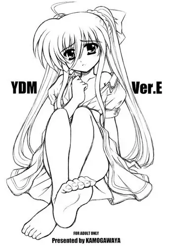 [Kamogawaya (Kamogawa Tanuki)] YDM Ver.E (Mahou Shoujo Lyrical Nanoha) [English]