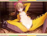 Eiyuu＊Senki GOLD Visual Fanbook