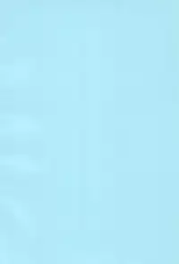 (Ore ga Ryuu de, Omae ga Tora de. ~Hannin wa ○○~) [Oomorian (Ohbayashi Mori, Pensuke)] Limited Chiwadora! (Toradora!)