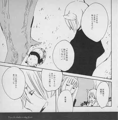 深い森の影から