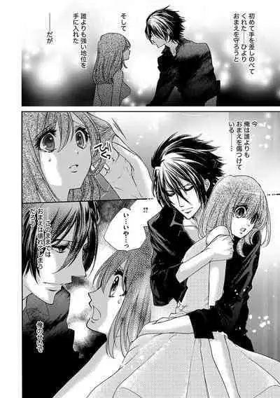 鬼畜兄弟の悶絶調教～私はいいなり奴隷～