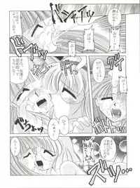 (C48) [豺狼出版 (J・さいろー)] 燕雀 Volume 1 (エルフ・１７、魔法騎士レイアース)