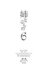 (C93) [Pochi-Goya. (Pochi.)] Ane Naru Mono 6 (Ane Naru Mono) [Chinese] [无毒汉化组]