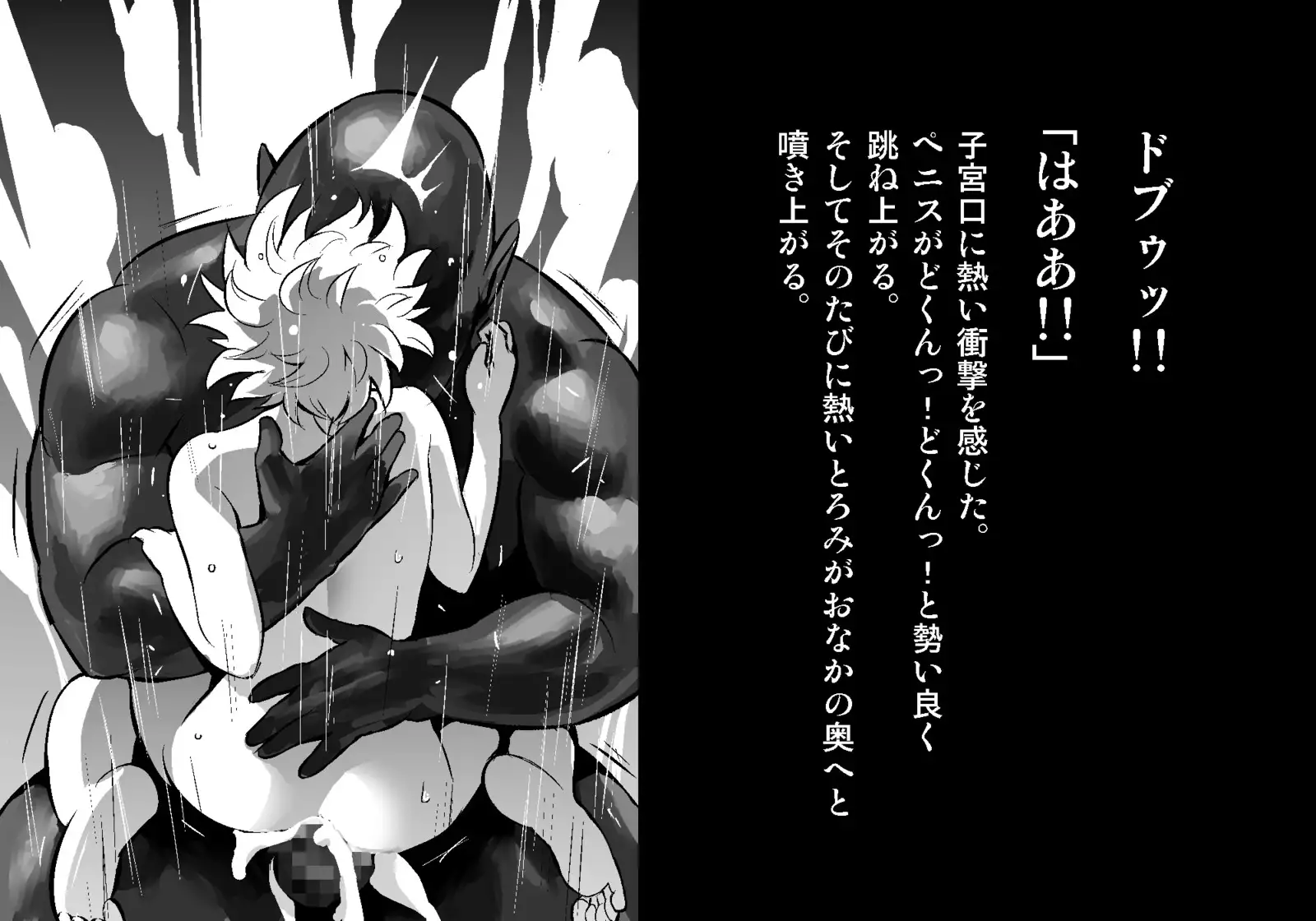 フェアリーセティ