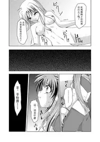 (C74) [TRICKorTREAT (Kagura Tsukune)] InSulT II (Mahou Shoujo Lyrical Nanoha) [Chinese] [靴下汉化组]