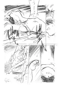 [DPP] usuyami Twillight's Last Gleaming (nadesico)