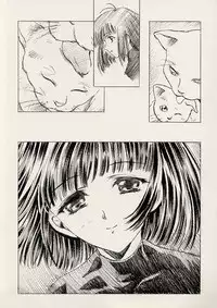 (C62) [Henrei-kai (Kawarajima Koh)] Dosei Ame (Bishoujo Senshi Sailor Moon)