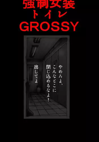 Kyousei Josou Toilet grossy