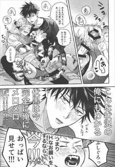 Tora no koubi wa 2 nichi de 100 kai