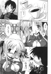 (C79) [FASTEST LAP (MIO)] Ookiku nattemo Fate ga suki desu ka? Lost Property 9 (Mahou Shoujo Lyrical Nanoha)