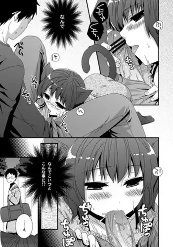 [Siro] Koneko Hiroimashita