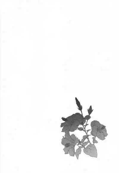 Hakase no Yoru no Joshu. Soushuuhen