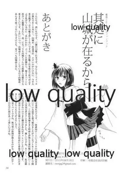 其処に山城が在るから