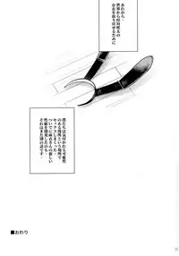 (C95) [Kayoudou (shouka)] Bunny Lovers (Seishun Buta Yarou wa Bunny Girl Senpai no Yume o Minai)