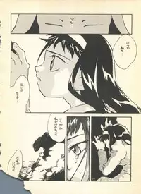 (C54) [Hotateya (James Hotate)] NEOER 2010 (Android Announcer Maico 2010, Neoranga)