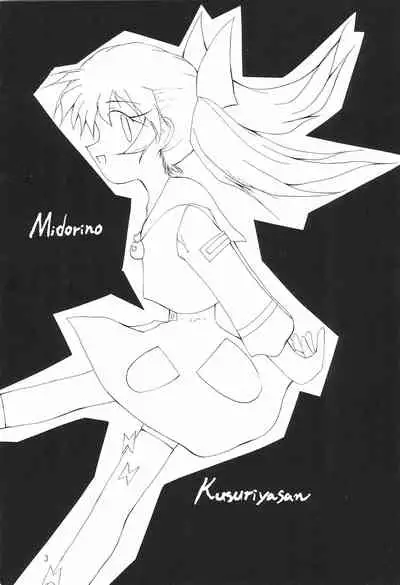 MIDORI NO KUSURI YASAN