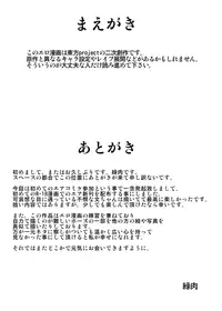 (C82) [Midori Niku] Kawaisouna bunchan (Touhou Project)