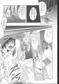 (C61) [Red Ribbon Revenger (Makoushi)] Elf's Ear Book 10 - Kamigami no Tasogare (Twilight of the Gods) 3 (Star Ocean: Till the End of Time)