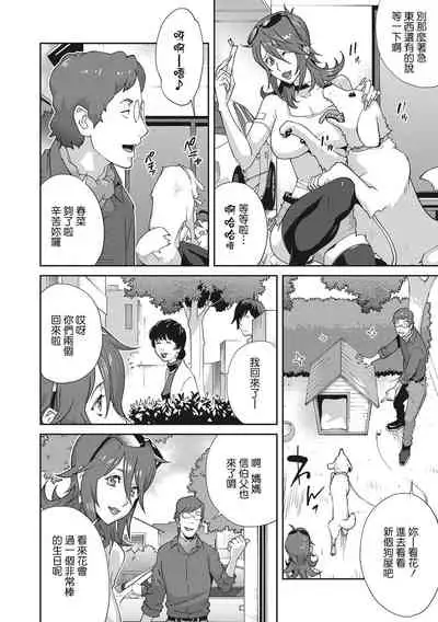 Nyuugyaku no Rudbeckia