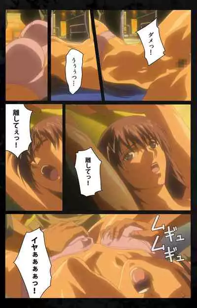 DARK SHELL ori no naka no tsuya kanzenhan