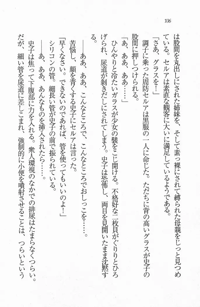 メイド喫茶　猫の隠れ家