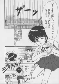 [DONKEY] Dokkin Taiken WAY