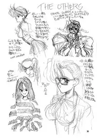 (CR14) [Gyokusaidan (Mimasaka Hideaki)] Ah, Dame da yo Dame Dame Gomen (Sailor moon, Sonic Soldier Borgman