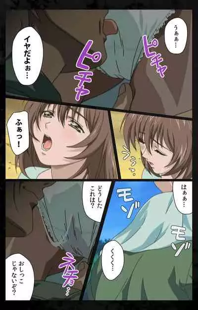 DARK SHELL ori no naka no tsuya kanzenhan