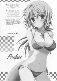 (C82) [SONIC WINTER (Tsukishima Kai)] Futari no Natsu Monogatari. Our Summer Memory (Infinite Stratos)
