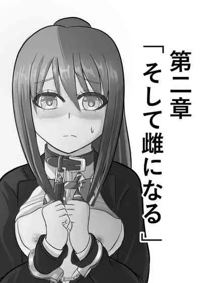 TSをする。性奴隷になる。