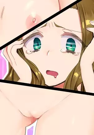 TS Mesu Dorei e no Kaizou