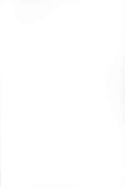 [DummyUsagi (Nijino Okayu)] Mugen-sama, Dou ka Otawamure o (The Legend of Hei)