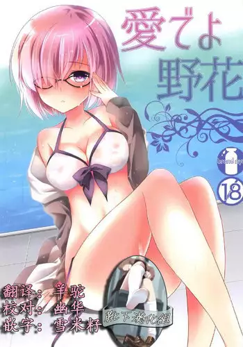 (COMIC1☆11) [brand nyu (nyu)] Medeyo Nobana (Fate/Grand Order) [Chinese] [靴下汉化组]