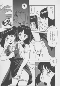 [DONKEY] Dokkin Taiken WAY