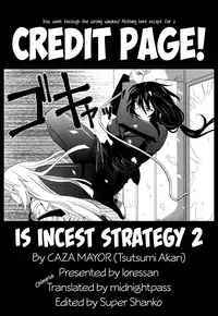 (C81) [CAZA MAYOR (Tsutsumi Akari)] is Incest Strategy 2 (Infinite Stratos) (English) [MidNightPass]