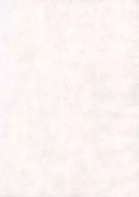 [Great Dadan (Seijirou Kagechika)] Yoruichi Nyan no Hon 2 (Bleach)