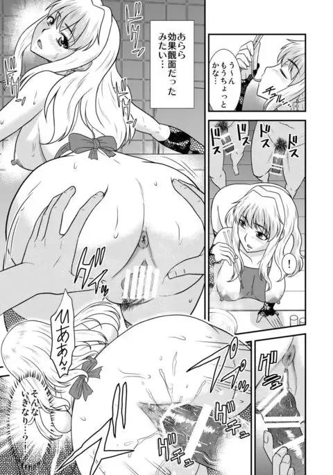 Sheryl-san niwa Mukanai Shokugyou 3 - An Unsuitable Job for Sheryl 3