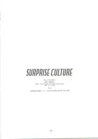 (C74) [Studio N.BALL (Haritama Hiroki)] SURPRISE CULTURE (Macross Frontier)