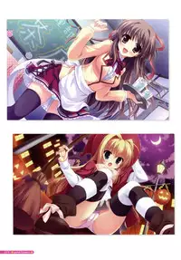 [Yukie] MOEOH Selection Flower Flower Yukie Gashuu