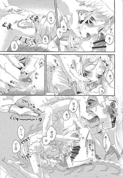 OVER THE REINCARNATION